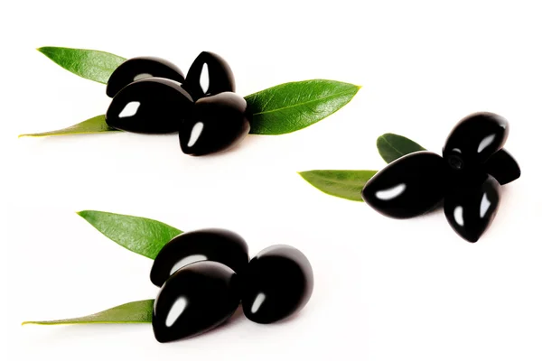 Beyaz yeşil yaprakları ile Siyah Zeytin