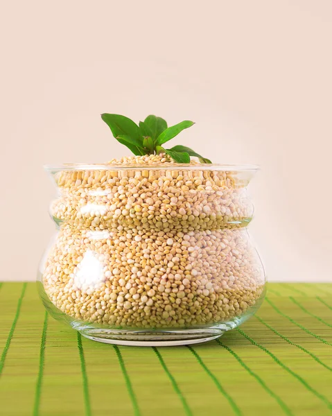 Cam Aranjman Quinoa ile dolu