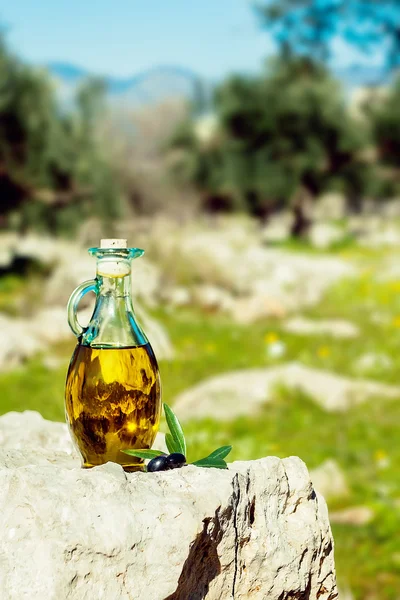 Kleine Flasche mit Olivenöl auf einem Stein und Olivenbäumen Hintergrund — Stockfoto