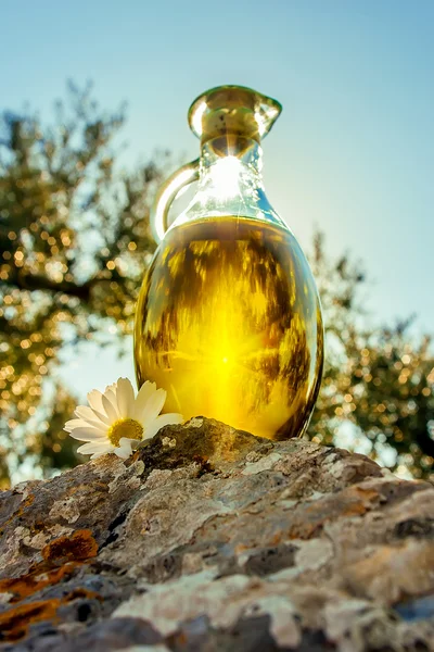 Slunečního záření přes láhev s olivovým olejem — Stock fotografie
