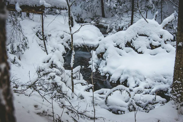 Río Descongelado Bosque Invierno Bosque Invierno Agua Viva Rompe Nieve — Foto de Stock