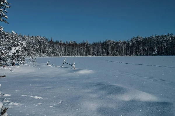 Lago Congelado Poder Naturaleza Desierto Invierno Extendido Lago Fondo Naturaleza — Foto de Stock