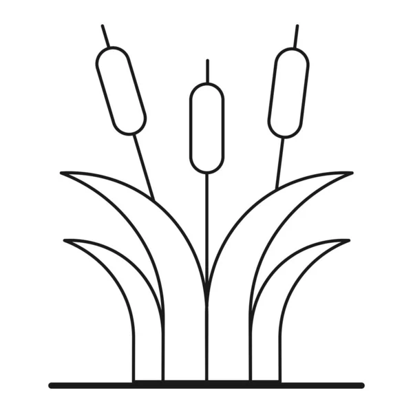 Brotes Caña Contorno Iconos Ecológicos Con Plantas Aislado Sobre Fondo — Archivo Imágenes Vectoriales