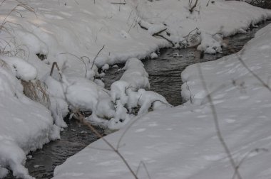Kış ormanında çözülmüş bir nehir. Kış ormanı, canlı su karları aşıyor..