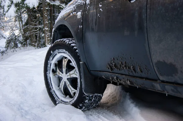 Büyük tekerlekleri olan bir araba kar yığınlarında yol alır. Büyük bir kış lastiği çivilenmiş, karı ısırdı. Kış ormanının içinden geçen yol. Off Road