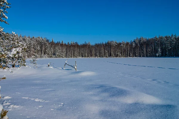 Lago Congelado Poder Naturaleza Desierto Invierno Extendido Lago Fondo Naturaleza — Foto de Stock