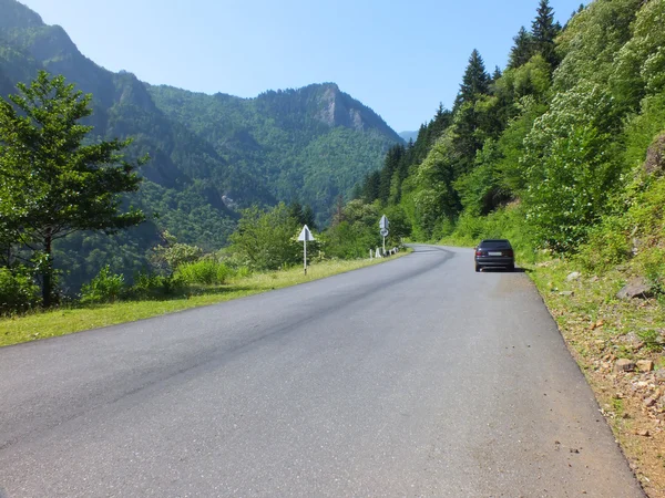 Vallée de la rivière Enguri — Photo