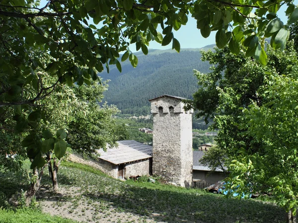 Svan toren — Stockfoto