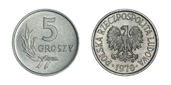 Polen Grov 1970 Vit Bakgrund — Stockfoto