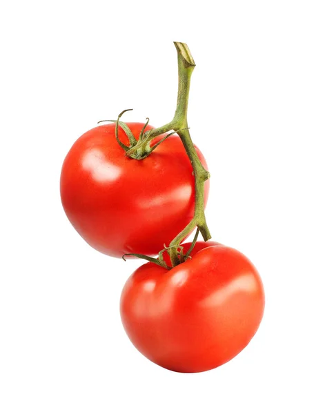 Gałązka Dwoma Pomidorami Białym Tle — Zdjęcie stockowe