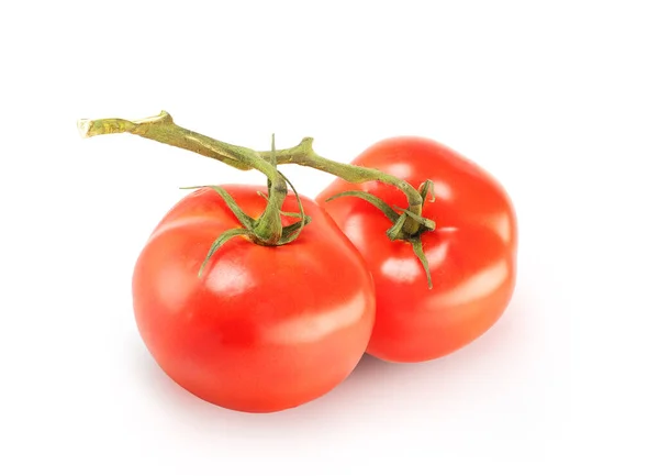 Dwa Pomidory Gałązką Białym Tle — Zdjęcie stockowe