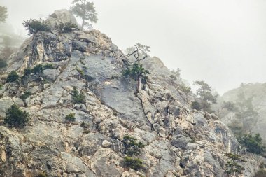 Kırım yarımadasının güney kıyısındaki dağlar