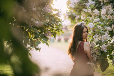 Parktaki güzel genç bir kadının portresi yazın günbatımında leylak dallarında. Bir kız gün batımında çiçek açan leylağın dallarında duruyor.