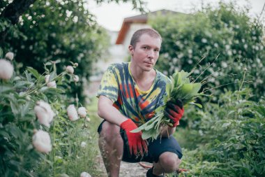 Bahçede bir adam çalışıyor, yabani otlarla uçuyor, çimlerle ilgileniyor. Parlak iş kıyafetleri içinde genç bir adam çimenleri söker, şakayık çalılarının yakınındaki toprağı temizler.
