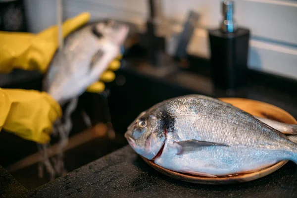 Close-up of hands and fish. A young woman cleans fish at the sink in the kitchen. A housewife prepares dinner, cleans a sea bream under running water in a cozy kitchen