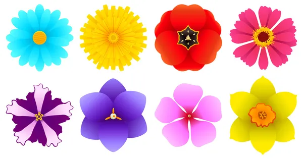 Different Kinds of Flowers - Top View — Stock Vector