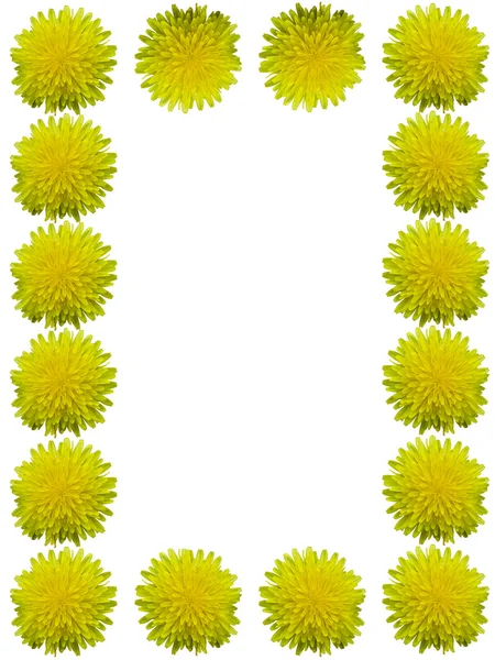 Dandelion Frame — Stock Photo, Image