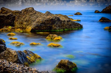 taşlar, deniz ve yeşil algler
