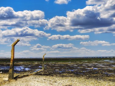 Nehir kıyısında bir köprüsü olan manzara