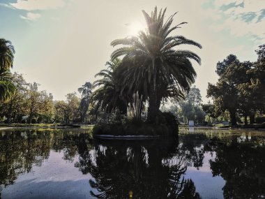 Göl manzaralı parkın manzarası manzarayı yansıtıyor.