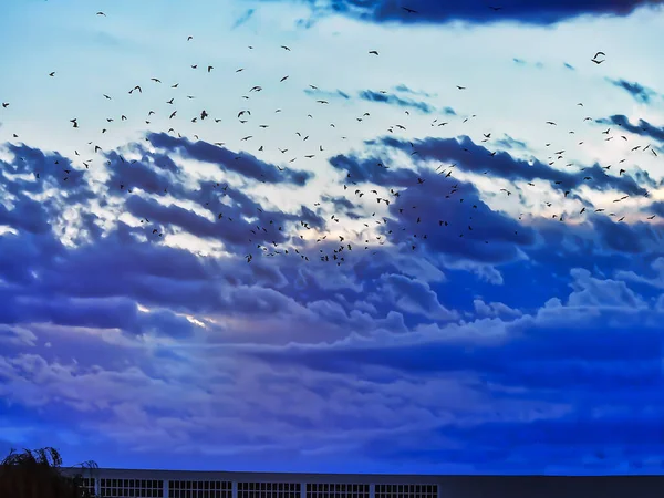 Céu Nublado Antes Tempestade Antes Pôr Sol — Fotografia de Stock