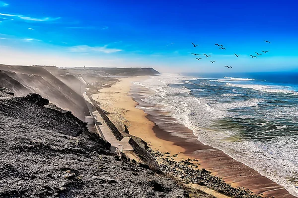 Vista Costa Com Uma Praia Com Pássaros Voo — Fotografia de Stock