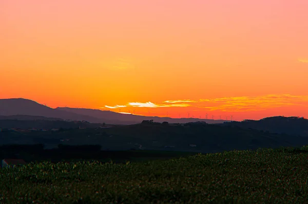 Paisagem Rural Nascer Sol Hora Azul — Fotografia de Stock