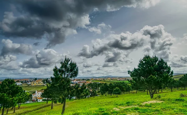 Paesaggio Rurale Con Campo Verde Alberi Con Cielo Drammatico — Foto Stock