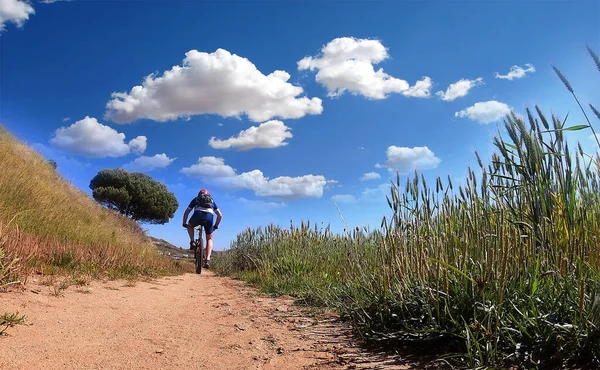 Cyclist in blue gear pedaling on the field with a blue sky