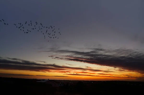 Сільський Пейзаж Сході Сонця Хмарним Небом — стокове фото