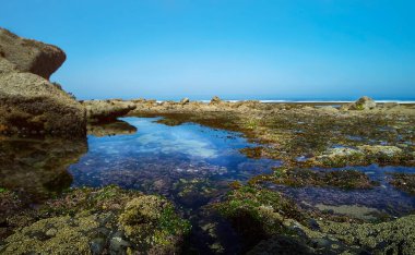 Seascape with rocks on the shore and clear sky