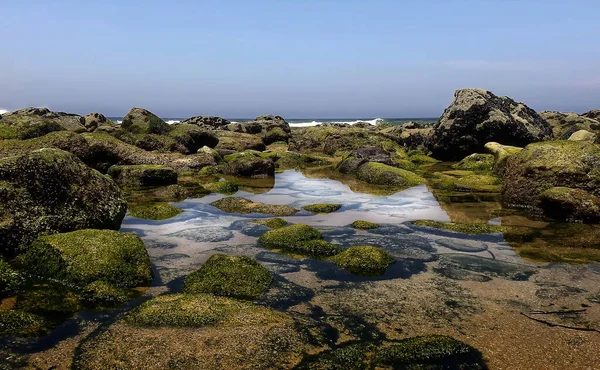 Seascape Pobřeží Atlantiku Při Přílivu — Stock fotografie