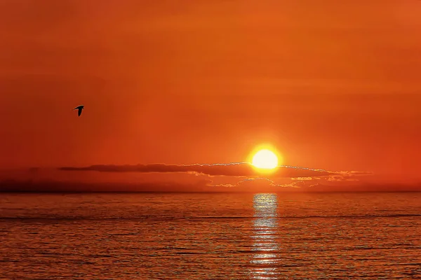Zachód Słońca Portugalskim Wybrzeżu Oceanu Atlantyckiego — Zdjęcie stockowe