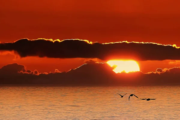 Sonnenuntergang Der Portugiesischen Atlantikküste — Stockfoto