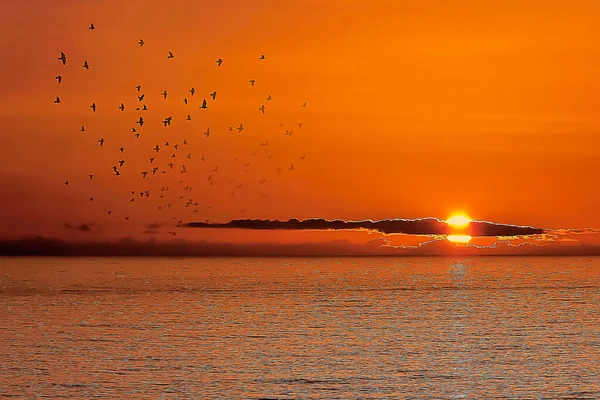 大西洋のポルトガル海岸の日没 — ストック写真