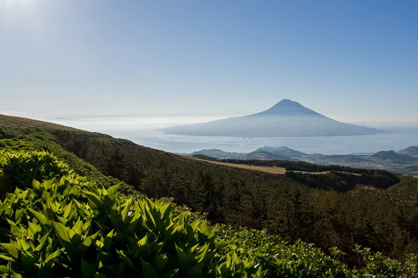 Montaña al amanecer — Foto de Stock