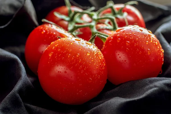 Tomatoes on a dark background — Stock Photo, Image