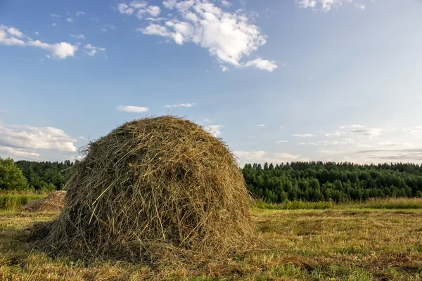 Heuhaufen — Stockfoto