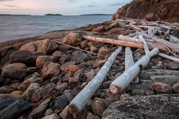 Old logs beached sea — Stock Photo, Image