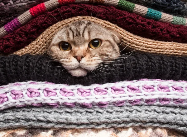 Stapel van wollen kleding — Stockfoto