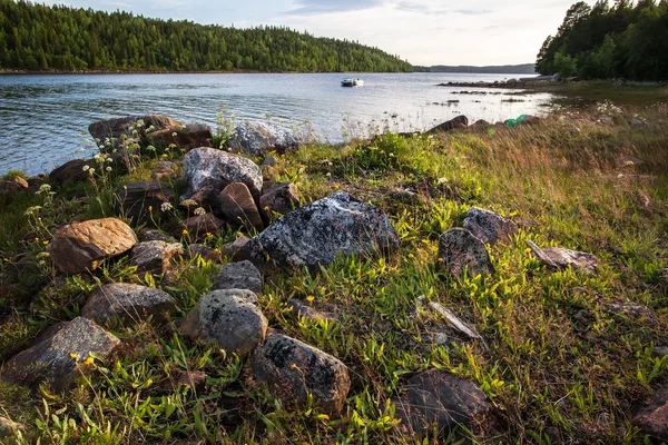 Steine und Gras am Ufer des weißen Meeres — Stockfoto