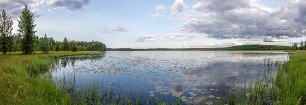 Панорама леса, озера и болот — стоковое фото