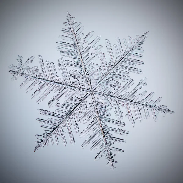 真正的宏雪花 — 图库照片