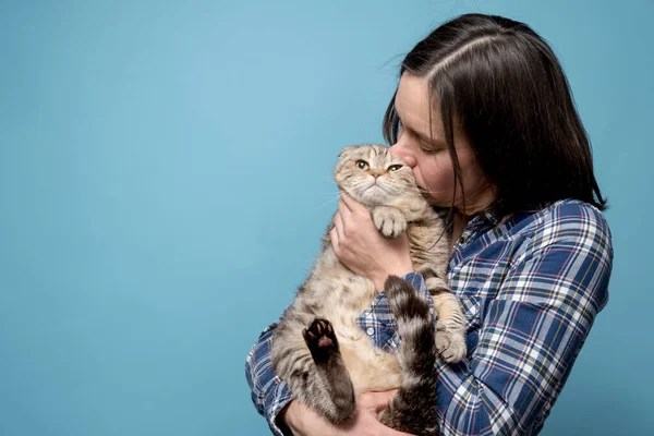 Mulher abraça e beija seu adorável gato Scottish Fold. Conceito de amor e respeito pelos animais. Espaço para cópia. Fundo azul. — Fotografia de Stock