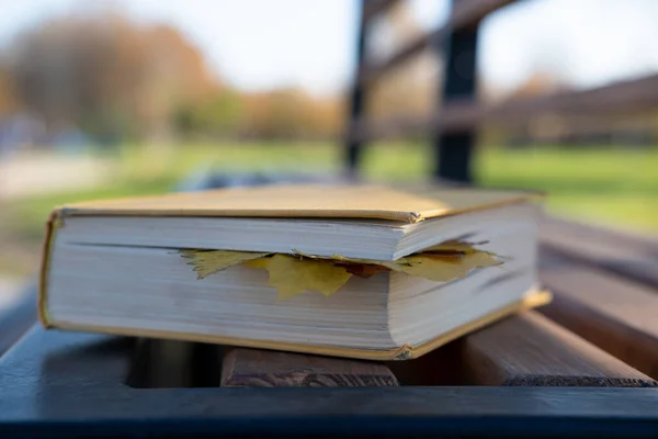 Dickes gelbes Buch mit Herbstblättern darin liegt auf einer Parkbank, vor verschwommenem Hintergrund. — Stockfoto