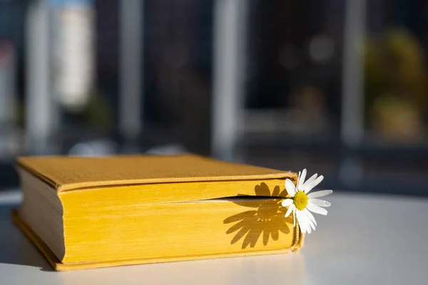 Geschlossenes gelbes Buch mit Lesezeichen und Kamillenblüte liegt auf einem Tisch in einem Café, im Sonnenlicht, vor verschwommenem Hintergrund. — Stockfoto