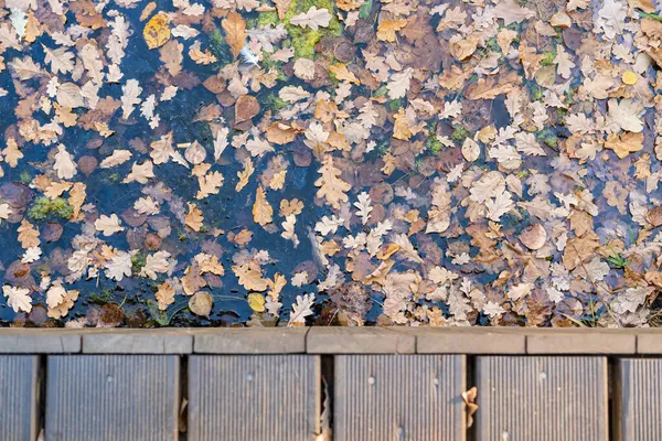 Autunno, foglie cadute nell'acqua del torrente e parte del ponte di legno, nel parco, all'aperto. — Foto Stock