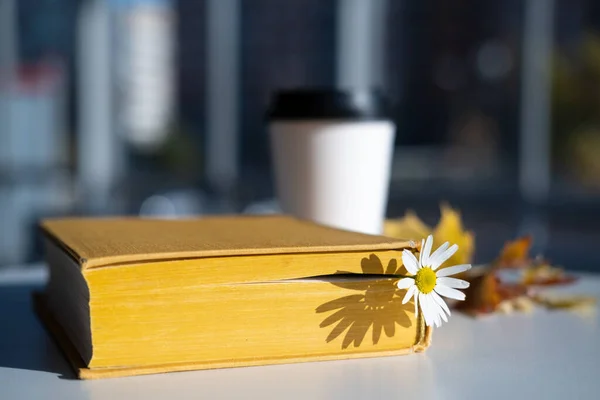 Buch mit Lesezeichen mit Kamillenblüte liegt auf dem Tisch, vor dem Hintergrund des aromatischen Kaffees in einem Einweg-Pappbecher. — Stockfoto