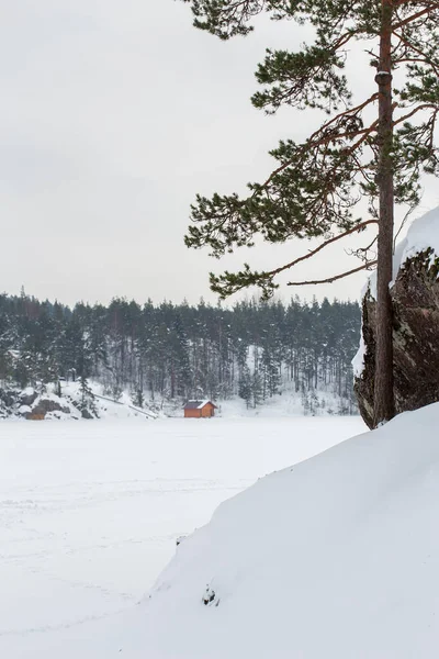 美しい冬の風景。雪に覆われた凍った湖、海岸の浴場、岩や森、田舎. — ストック写真