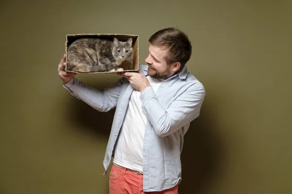 Человек играет со своим очаровательным котом, который забрался в картонную коробку и смотрит в недоумении. Концепция игр с домашними животными. — стоковое фото
